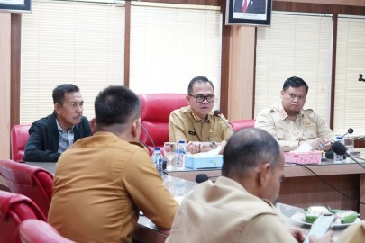 Pj Bupati Banyuasin Terima Kunker Ishak Mekki Anggota DPR RI