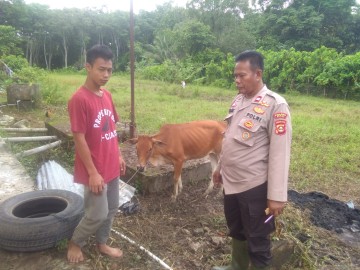 Cegah Kamtibmas, Kapolsek Tanah Abang Ajak Peternak Titipkan Hewan Peliharaan ke Halaman Mapolsek Tanah Abang