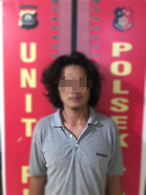 Polsek Talang Ubi Bekuk Pelaku Narkoba di Kebun Durian
